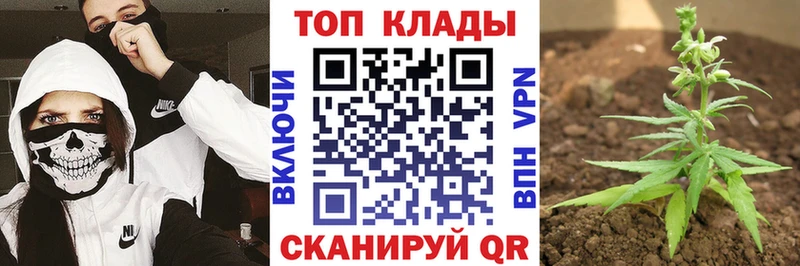 Где купить наркоту Воткинск Галлюциногенные грибы  Марихуана  Меф мяу мяу  Гашиш 