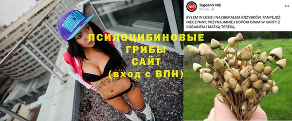 хмурый Алексеевка