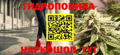 стафф Боровичи