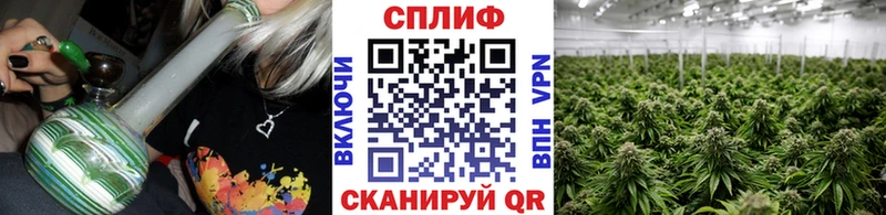 Марихуана план  Воткинск 